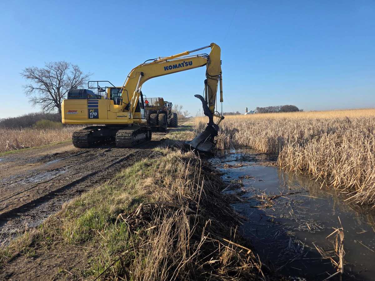 Tracked excavator working along a wet drainage area with tall dry reeds