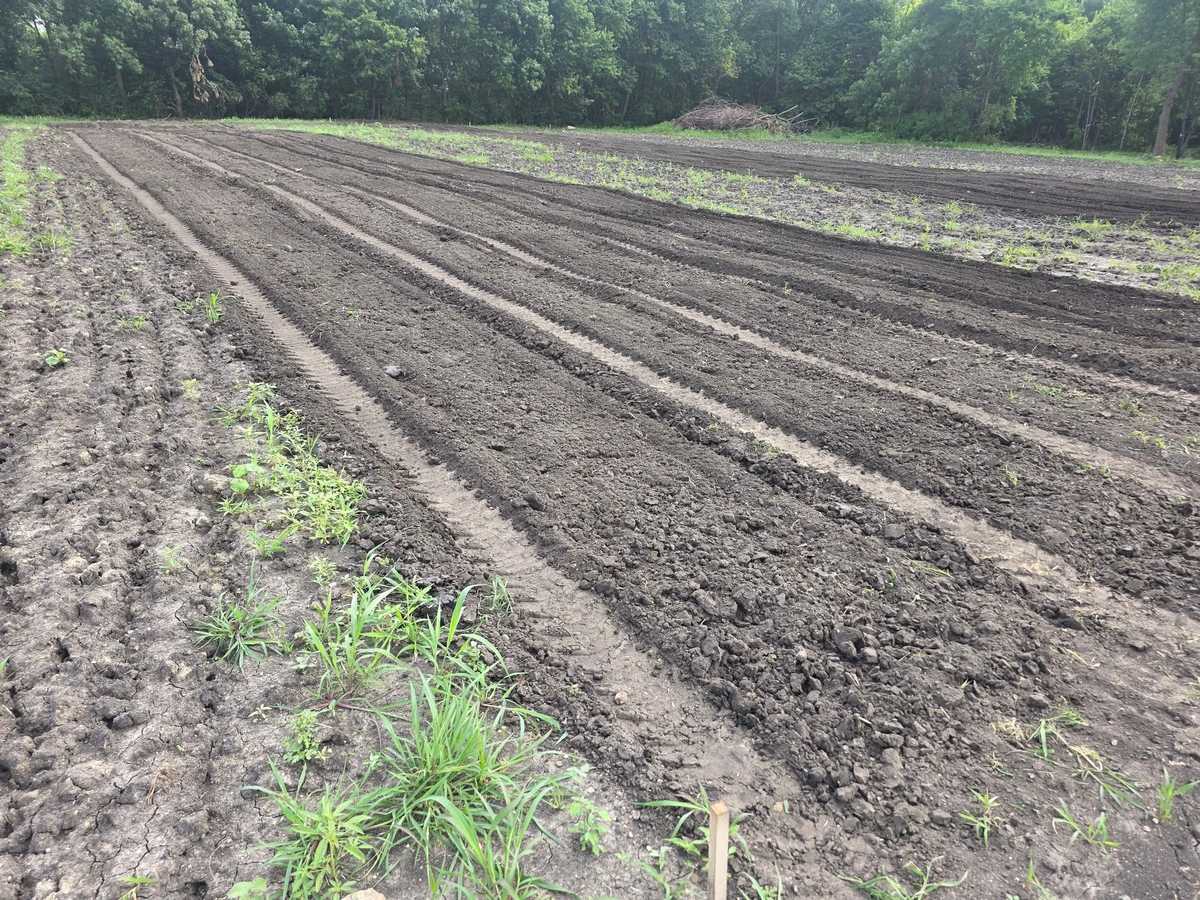 Freshly graded dark soil with machine tracks across an open lot, trees in the background